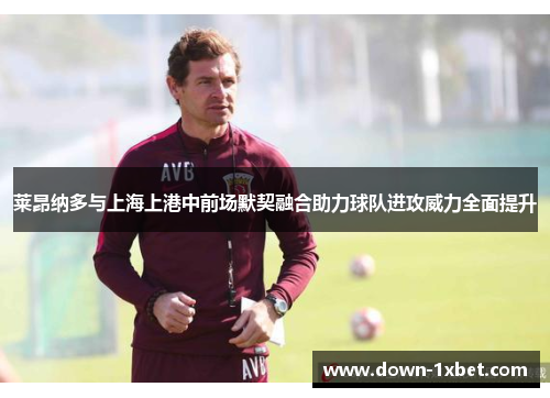 莱昂纳多与上海上港中前场默契融合助力球队进攻威力全面提升