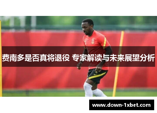 费南多是否真将退役 专家解读与未来展望分析